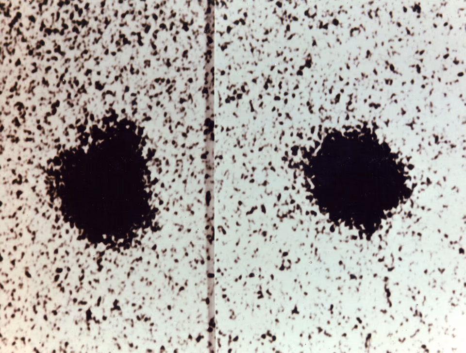 Zwei Negativaufnahmen von Pluto nebeneinander, jeweils ein körniger schwarzer Fleck: Auf der linken trägt er oben eine Ausbuchtung — den Mond Charon —, auf der rechten fehlt sie.